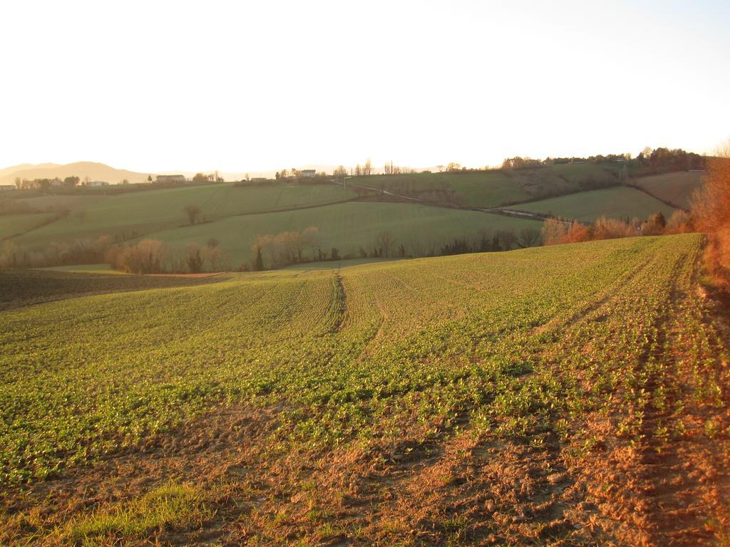 La Pietra Rara B&B Montone  Bagian luar foto