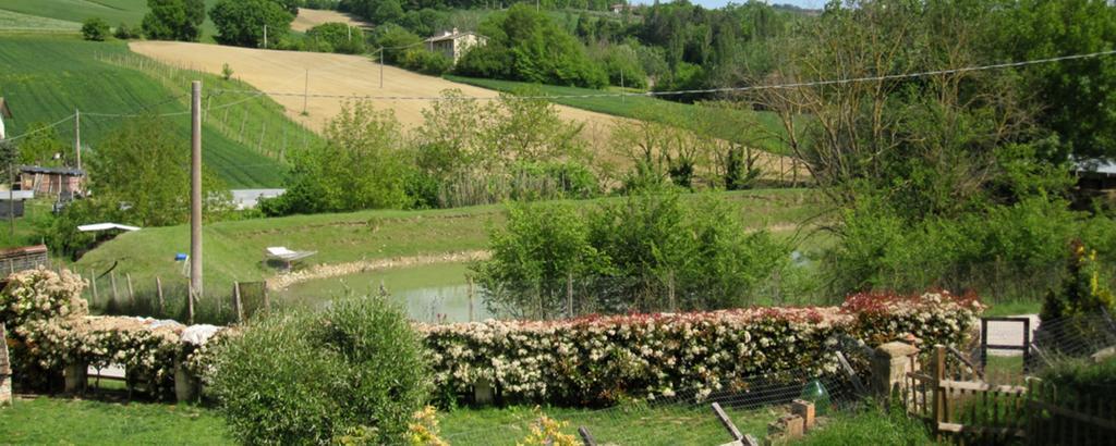 La Pietra Rara B&B Montone  Bagian luar foto
