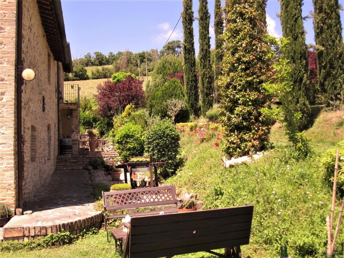La Pietra Rara B&B Montone  Bagian luar foto