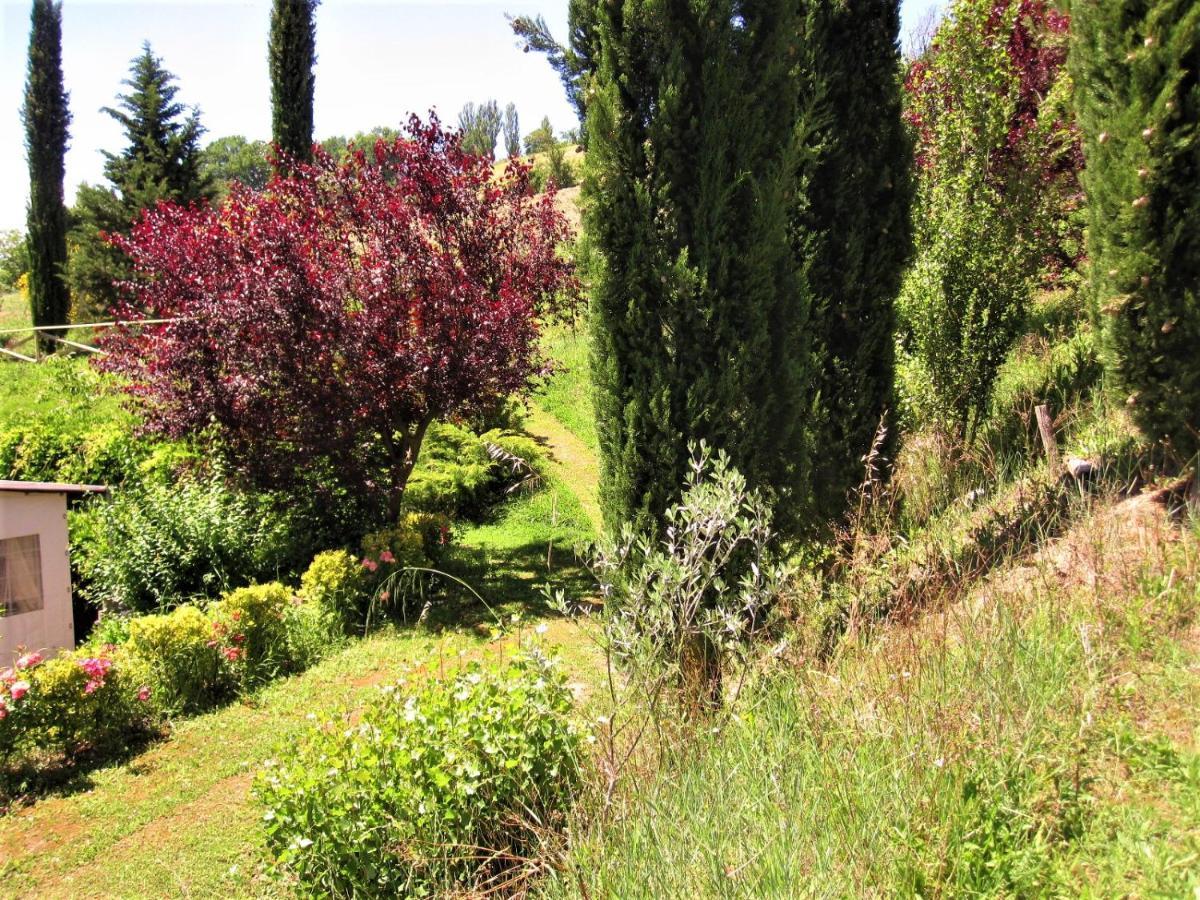 La Pietra Rara B&B Montone  Bagian luar foto