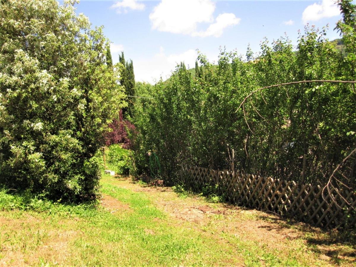 La Pietra Rara B&B Montone  Bagian luar foto