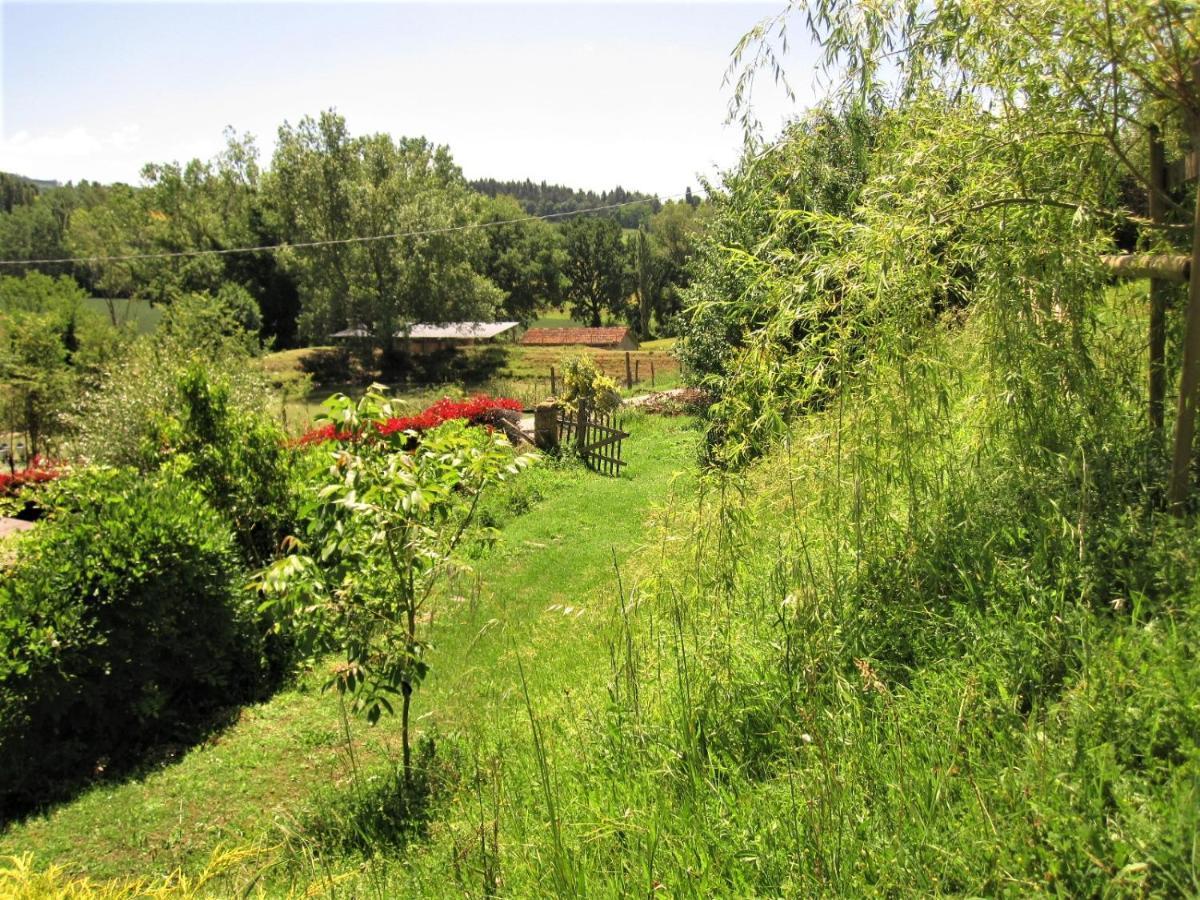 La Pietra Rara B&B Montone  Bagian luar foto
