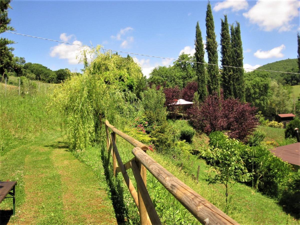 La Pietra Rara B&B Montone  Bagian luar foto