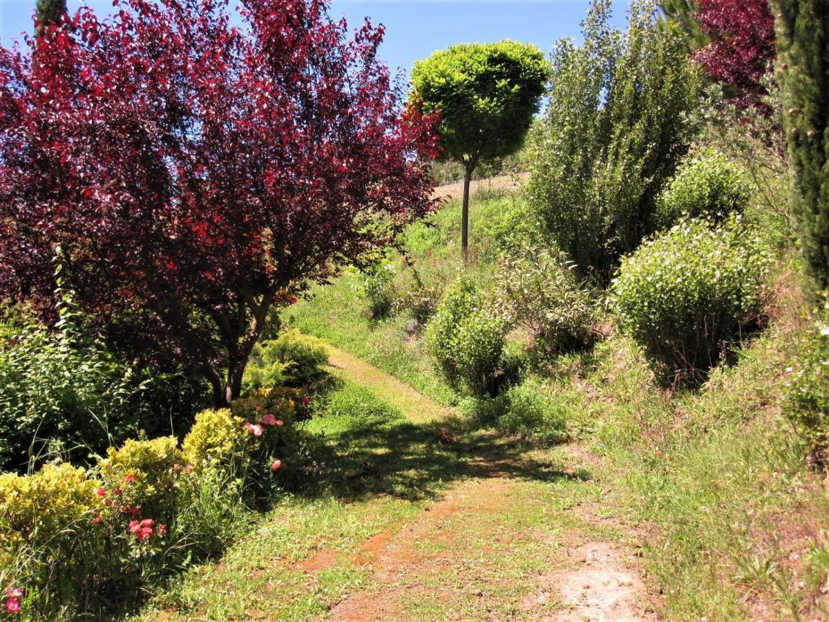La Pietra Rara B&B Montone  Bagian luar foto