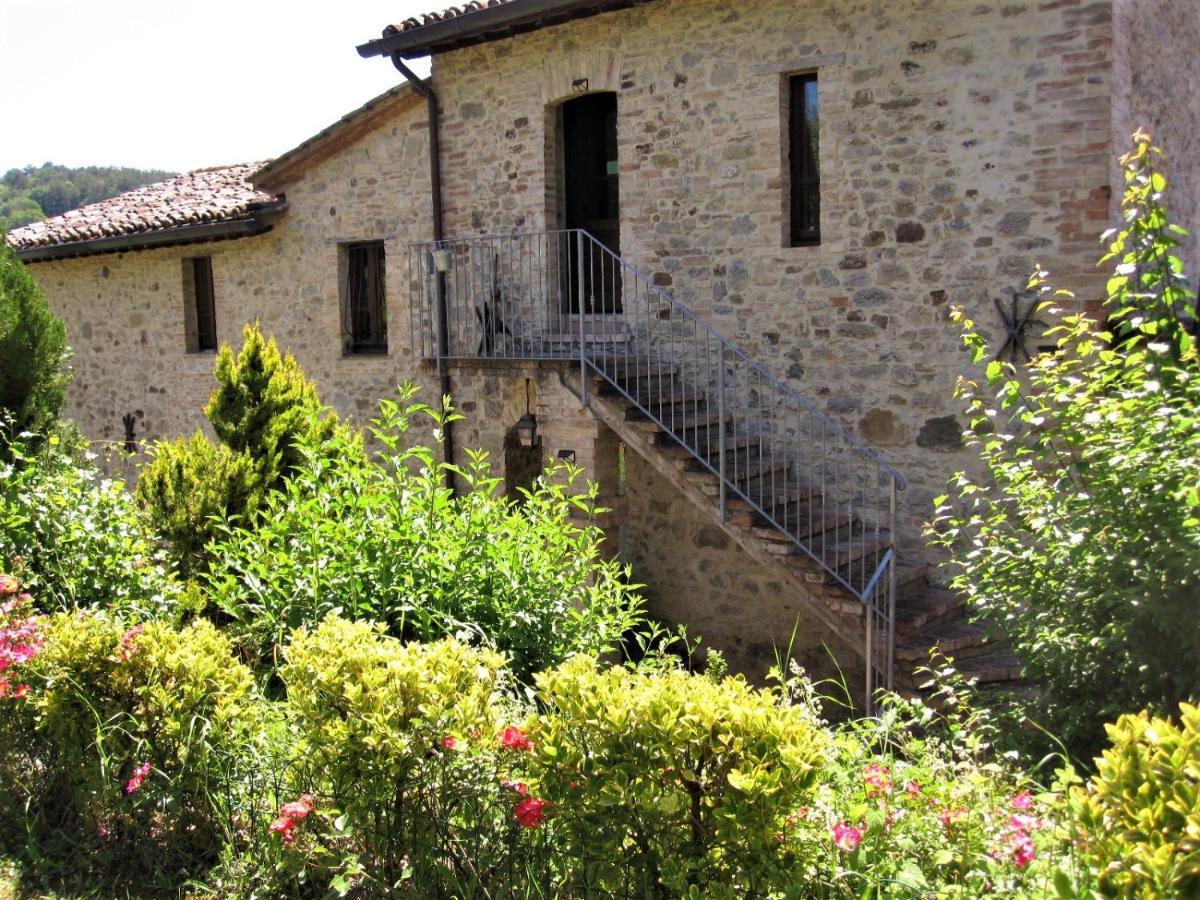 La Pietra Rara B&B Montone  Bagian luar foto