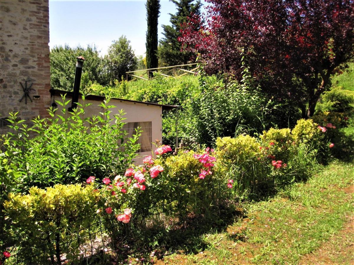 La Pietra Rara B&B Montone  Bagian luar foto