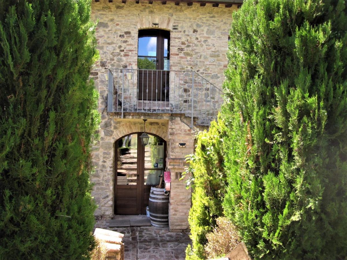 La Pietra Rara B&B Montone  Bagian luar foto